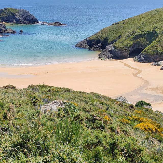 Belle-Île-en-Mer, excursion d'une journée depuis Doëlan
